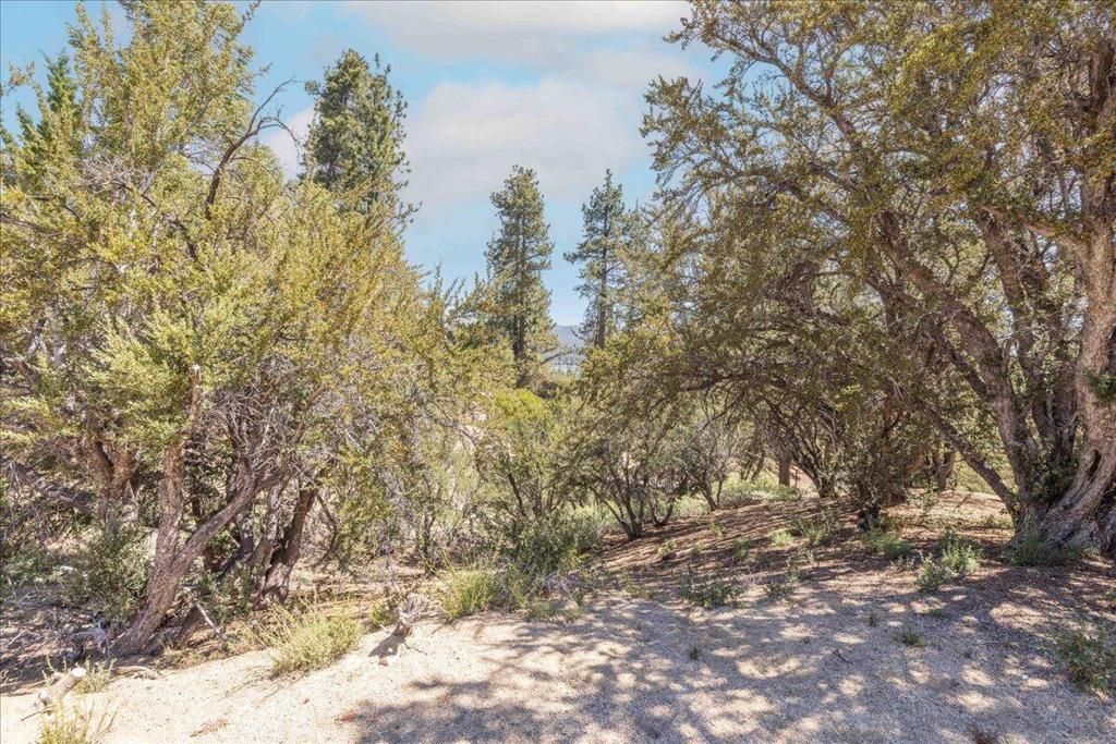 Image 8 of property listing at 40587 Ironwood Drive, Big Bear, CA 92315