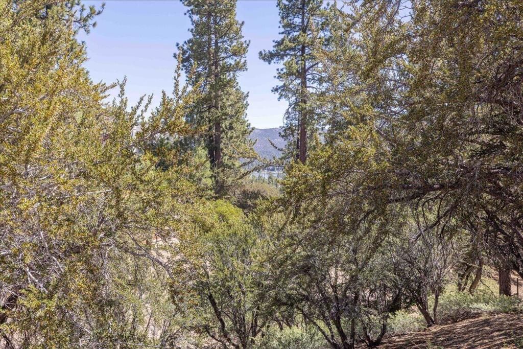 Image 9 of property listing at 40587 Ironwood Drive, Big Bear, CA 92315