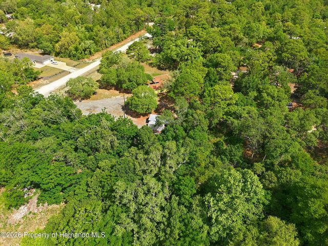 14056 Tayco Drive, Weeki Wachee, FL 34614