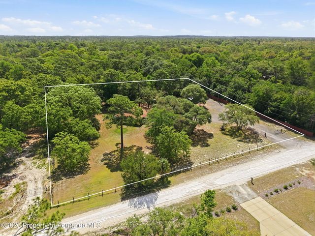 14056 Tayco Drive, Weeki Wachee, FL 34614