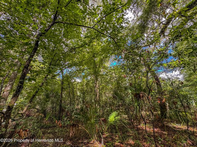 0 Old Hunter Road, Brooksville, FL 34601