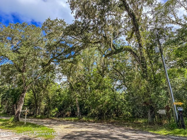 0 Old Hunter Road, Brooksville, FL 34601