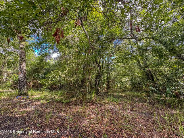 0 Old Hunter Road, Brooksville, FL 34601