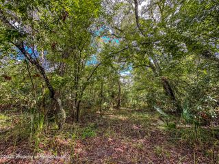 0 Old Hunter Road, Brooksville, FL 34601