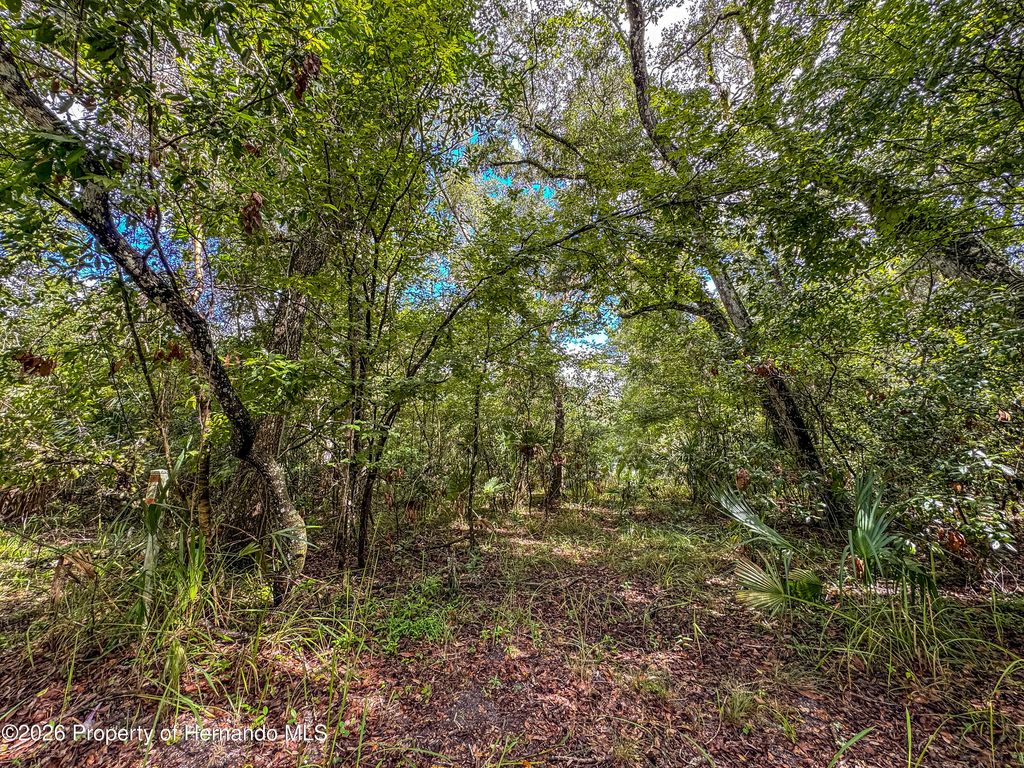 0 Old Hunter Road, Brooksville, FL 34601