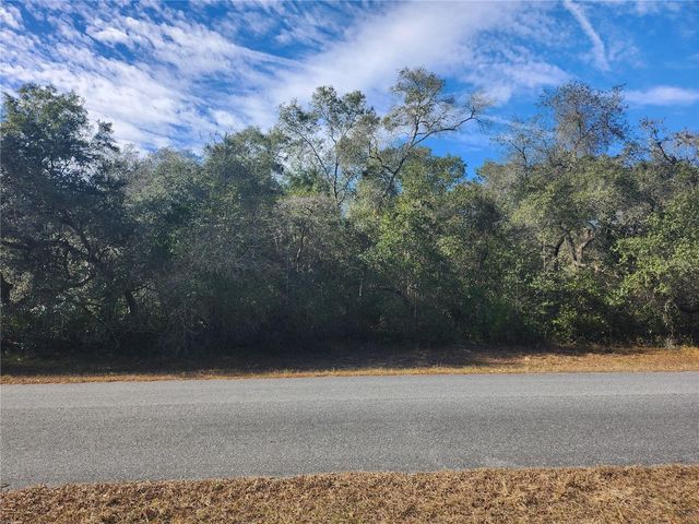 TBD SW 29 TERRACE ROAD, Ocala, FL 34473