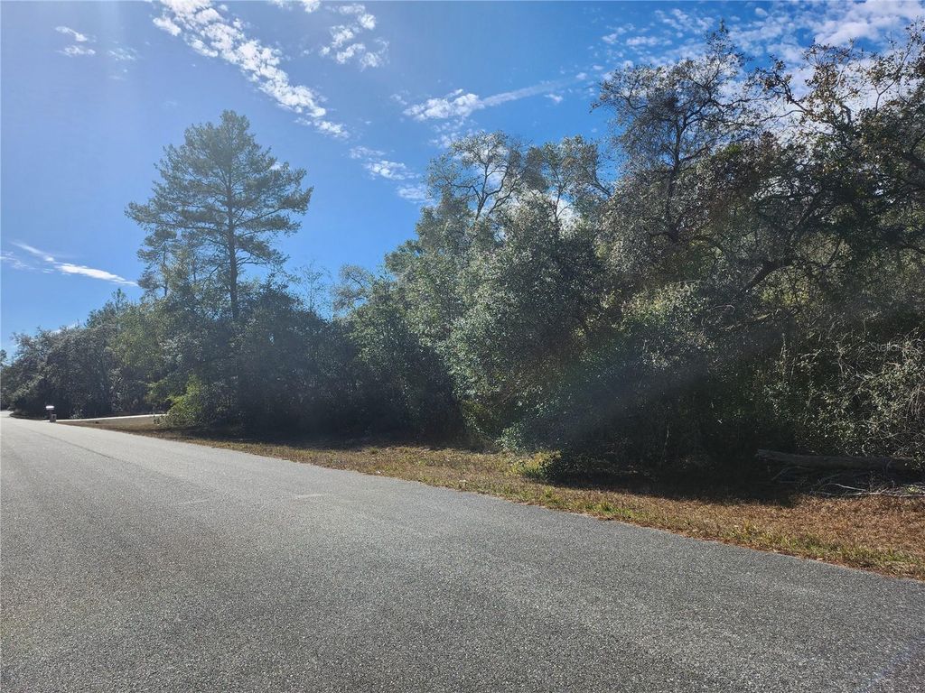 TBD SW 29 TERRACE ROAD, Ocala, FL 34473
