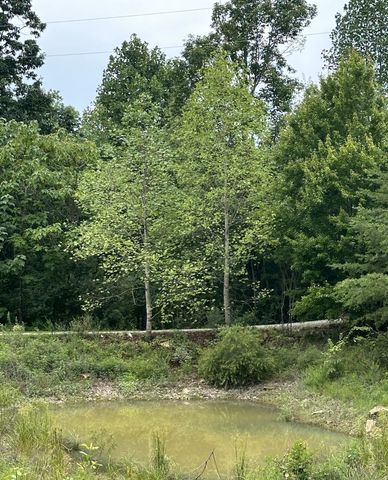 283 Markum Ln, Spencer, TN 38585