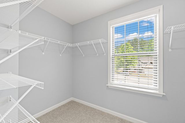 7432 Sorrel Court, Columbus, GA 31909