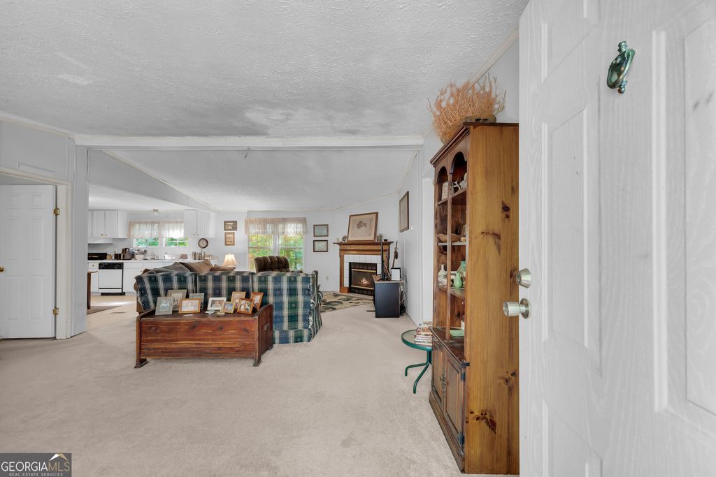 281 Summit Drive, Alto, GA 30510 — photo 5