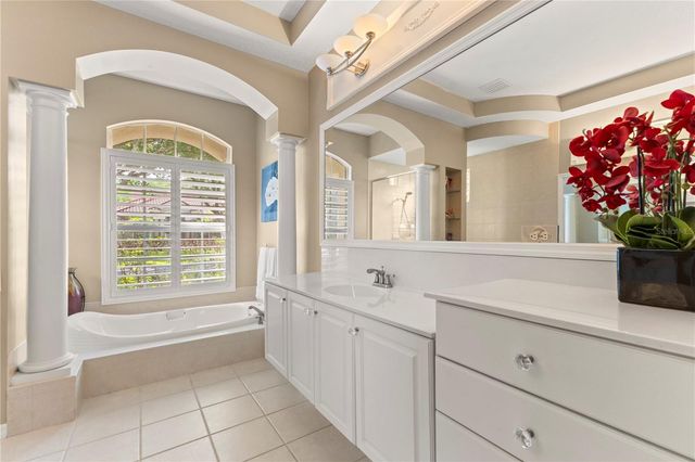 17861 ARBOR GREENE DRIVE, Tampa, FL 33647