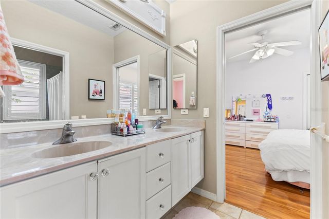 17861 ARBOR GREENE DRIVE, Tampa, FL 33647