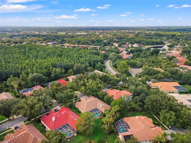 17861 ARBOR GREENE DRIVE, Tampa, FL 33647