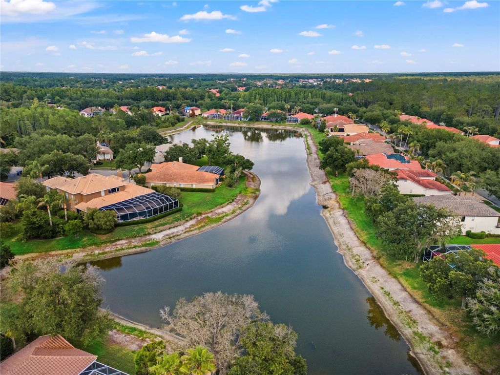Image 3 of property listing at 17861 ARBOR GREENE DRIVE, Tampa, FL 33647
