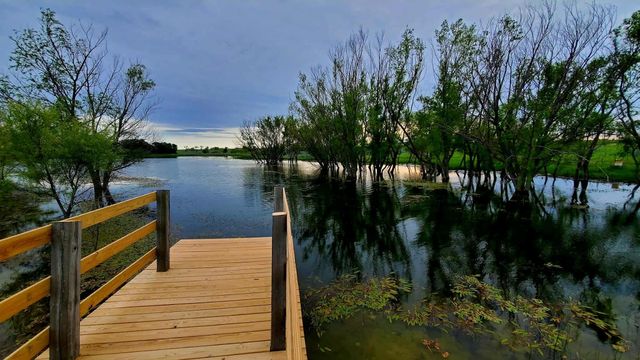 1943 Alsdorf Road, Ennis, TX 75119