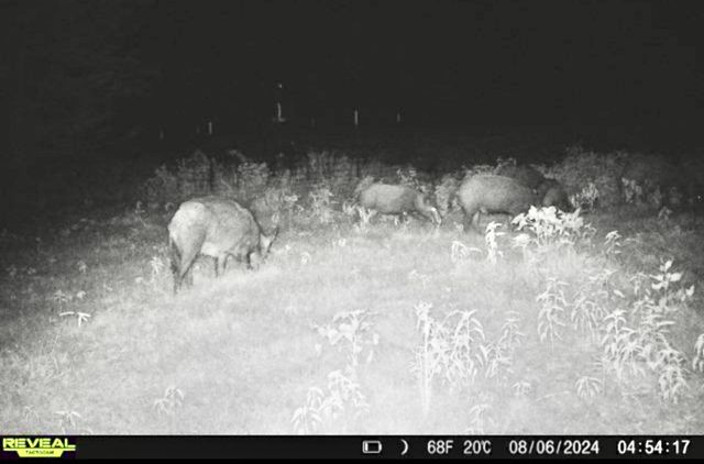 113 AC Fm 3218, Commerce, TX 75428