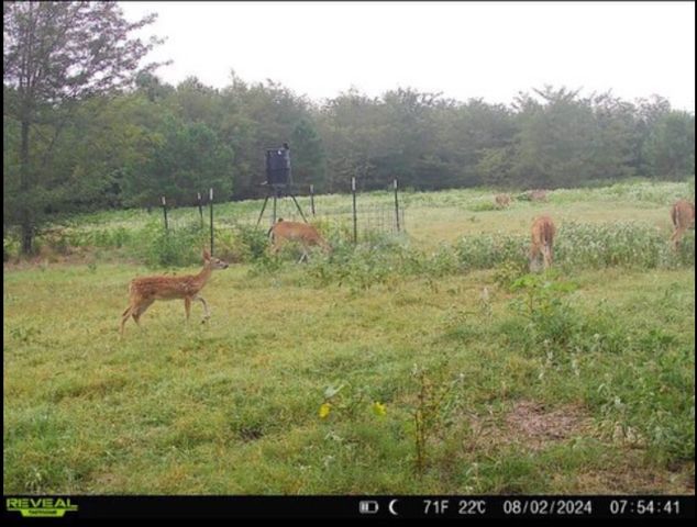 113 AC Fm 3218, Commerce, TX 75428