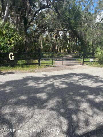 3217 Shine Lane, Spring Hill, FL 34607