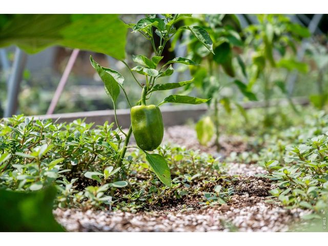 12745 N 66th St, Longmont, CO 80503