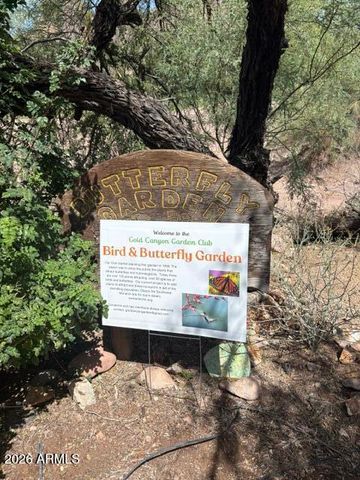 5579 S Alameda Road, Gold Canyon, AZ 85118