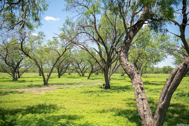 580 Fm 1332, Jourdanton, TX 78026