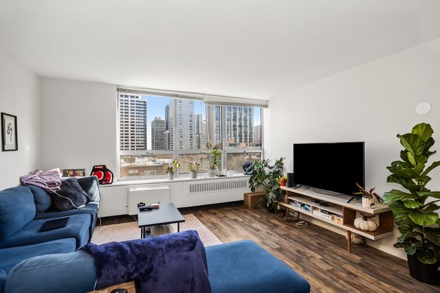 70 W BURTON Place 704F, Chicago, IL 60610