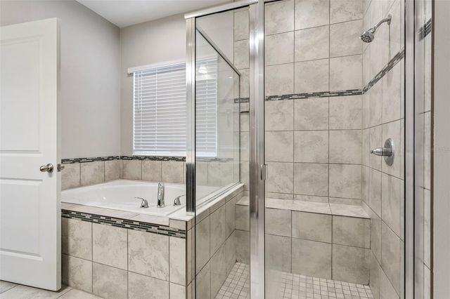 297 SIESTA VISTA COURT, Davenport, FL 33896