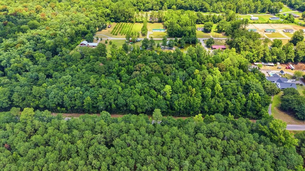 601 Huggins Landing Rd., Galivants Ferry, SC 29544 — photo 3