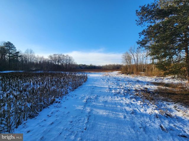 653 GRYGO RD, Marydel, DE 19964