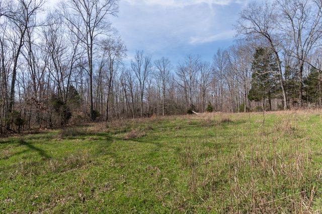 1300 New Sheboss Road, Duck River, TN 38454