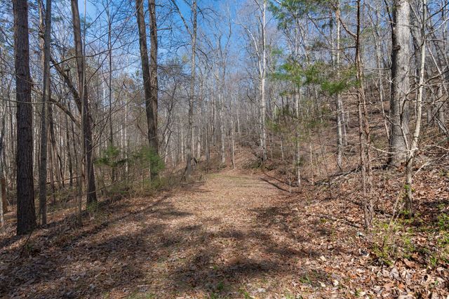 1300 New Sheboss Road, Duck River, TN 38454