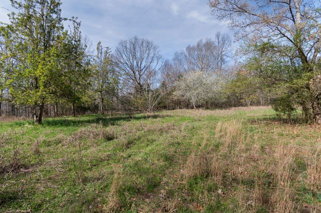 1300 New Sheboss Road, Duck River, TN 38454