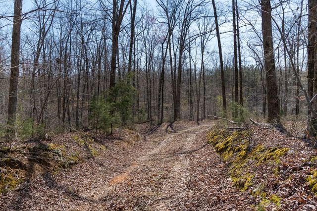1300 New Sheboss Road, Duck River, TN 38454