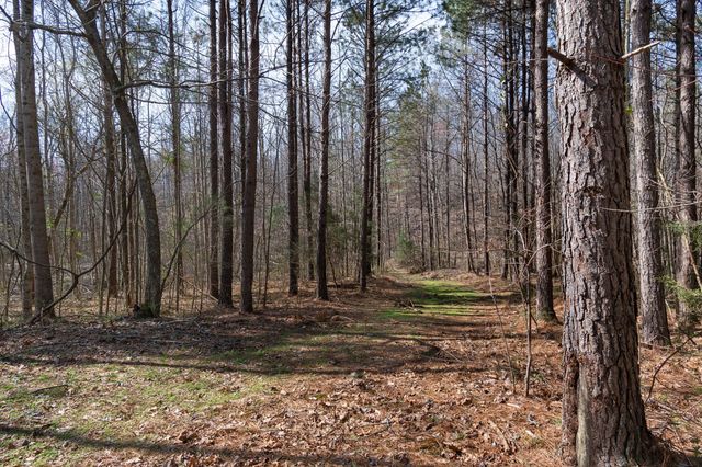 1300 New Sheboss Road, Duck River, TN 38454