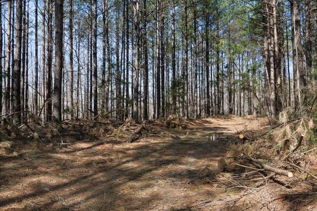 1300 New Sheboss Road, Duck River, TN 38454