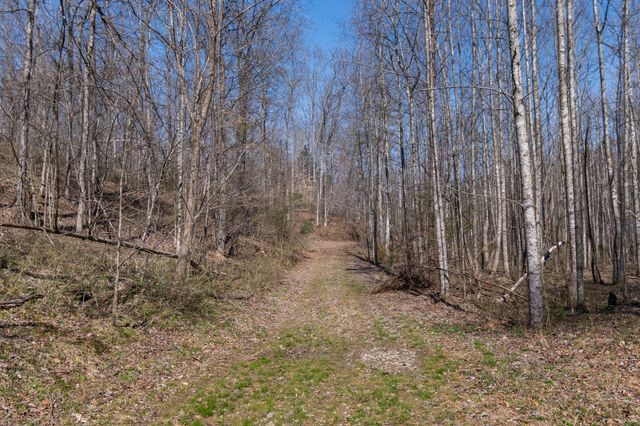 1300 New Sheboss Road, Duck River, TN 38454