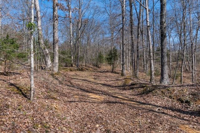1300 New Sheboss Road, Duck River, TN 38454