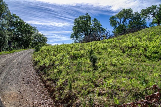 12300 Skaggs Rd, Geyserville, CA 95441