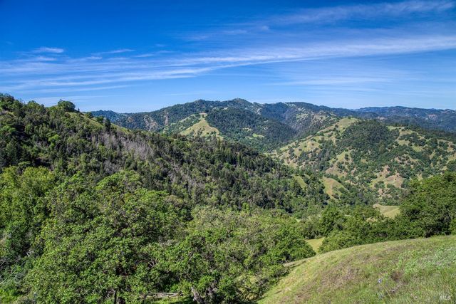 12300 Skaggs Rd, Geyserville, CA 95441