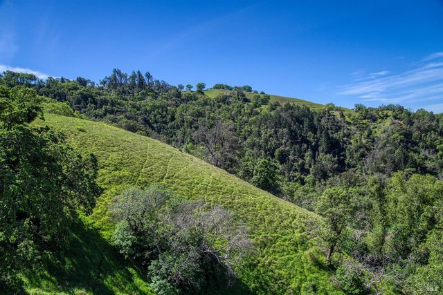 12300 Skaggs Rd, Geyserville, CA 95441