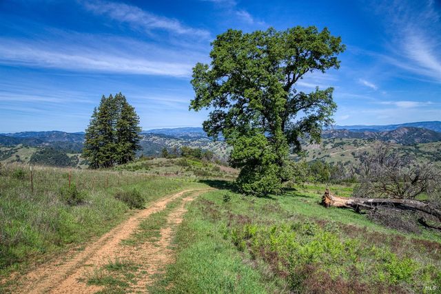 12300 Skaggs Rd, Geyserville, CA 95441