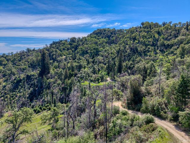 12300 Skaggs Rd, Geyserville, CA 95441