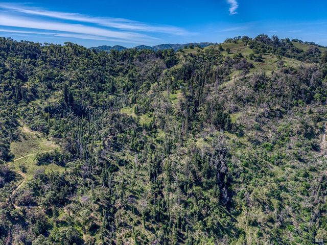 12300 Skaggs Rd, Geyserville, CA 95441