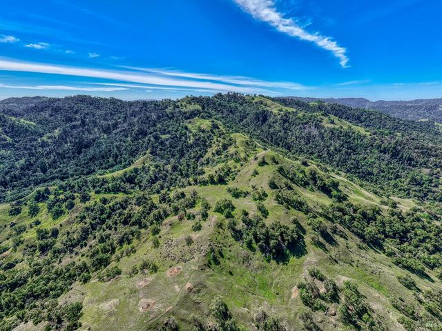 12300 Skaggs Rd, Geyserville, CA 95441