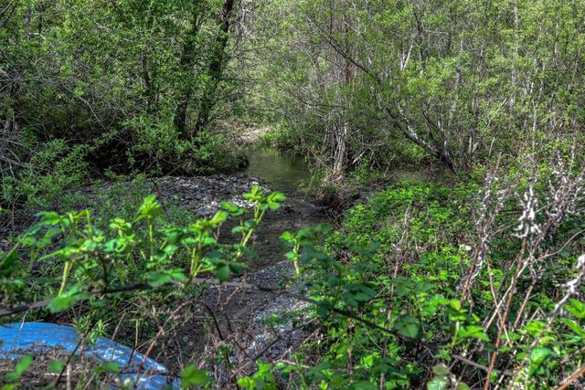 12300 Skaggs Rd, Geyserville, CA 95441