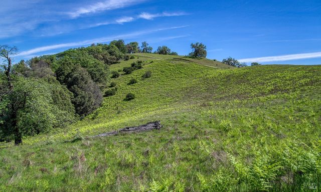 12300 Skaggs Rd, Geyserville, CA 95441