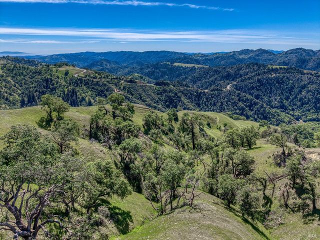 12300 Skaggs Rd, Geyserville, CA 95441