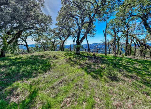 12300 Skaggs Rd, Geyserville, CA 95441