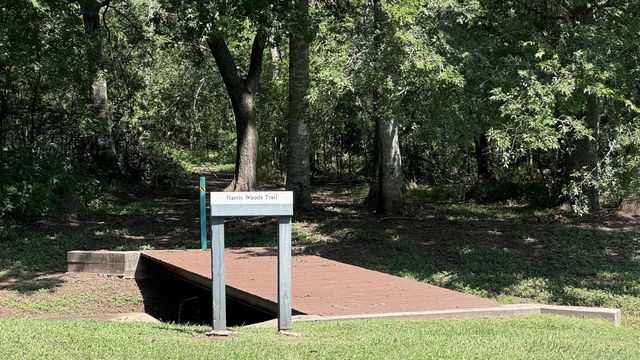 30934 Riverlake Rd, Fulshear, TX 77441
