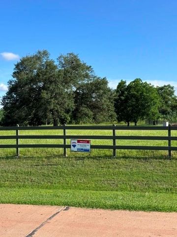 30934 Riverlake Rd, Fulshear, TX 77441